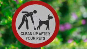 Poo-lution Solutions: 5 Creative Ways Communities Encourage Dog Owners to Clean Up